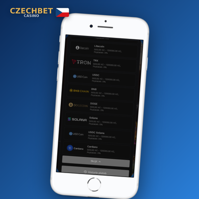 Rychlá výplata přes e-peněženky Skrill a Neteller v Czechbet Casino do 24 hodin