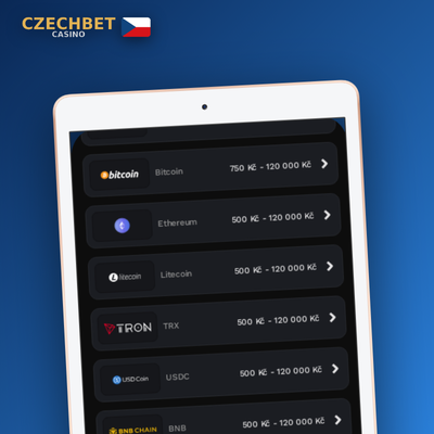 E-peněženky Skrill, Neteller a MiFinity jako rychlé metody vkladu v Czechbet Casino